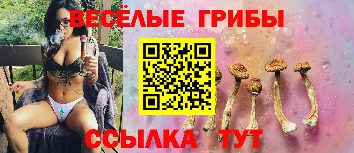 Псилоцибиновые грибы прущие грибы Сокол